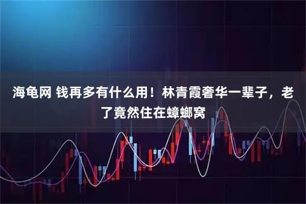 海龟网 钱再多有什么用！林青霞奢华一辈子，老了竟然住在蟑螂窝