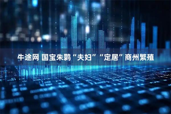 牛途网 国宝朱鹮“夫妇”“定居”商州繁殖